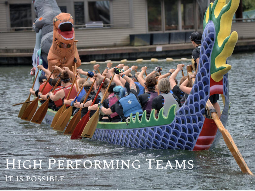 HIGH PERFORMANCE TEAMS